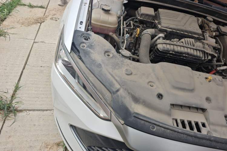 Used BYD Qin PLUS 2023 Champion Edition DM-i 55KM Leading Model Engine Bay Right