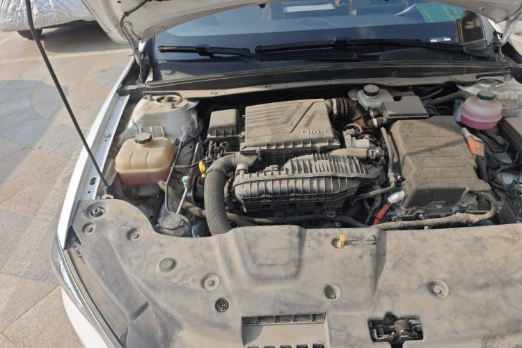 Used BYD Qin PLUS 2023 Champion Edition DM-i 55KM Leading Model Engine Bay Right