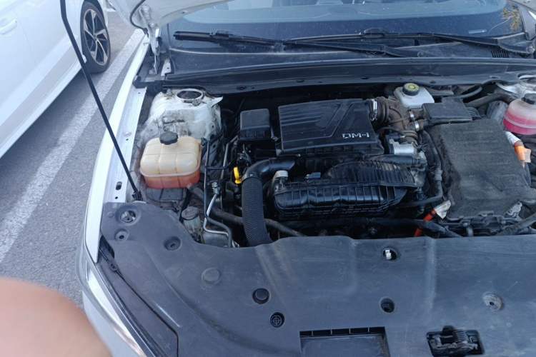 Used BYD Qin PLUS 2023 Champion Edition DM-i 55KM Leading Model Engine Bay Right