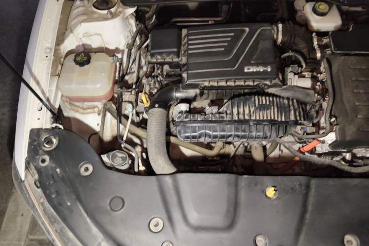 Used BYD Qin PLUS 2023 Champion Edition DM-i 120KM Beyond Model Engine Bay Right