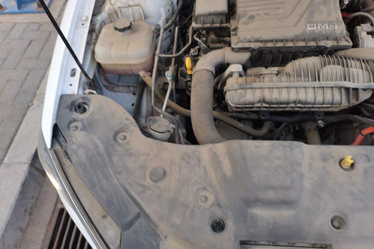 Used BYD Qin PLUS 2023 Champion Edition DM-i 120KM Leading Model Engine Bay Right