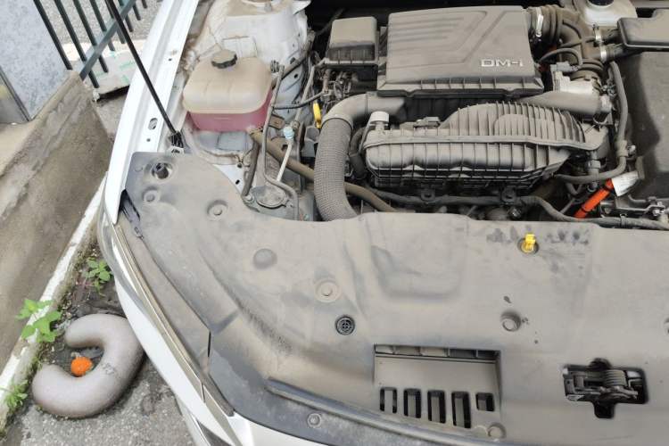 Used BYD Qin PLUS 2023 Champion Edition DM-i 55KM Leading Model Engine Bay Right