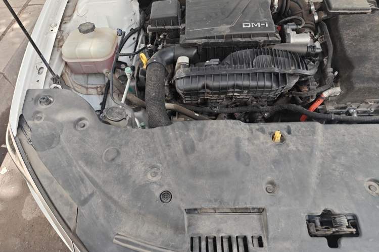 Used BYD Qin PLUS 2023 Champion Edition DM-i 120KM Leading Model Engine Bay Right
