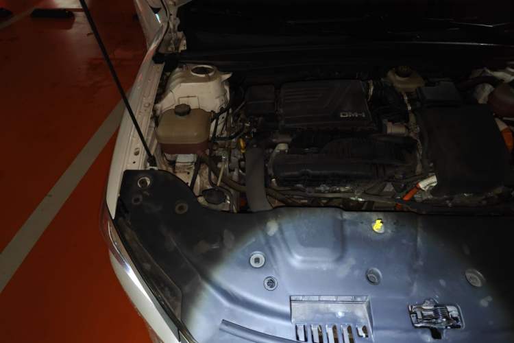 Used BYD Qin PLUS 2023 Champion Edition DM-i 55KM Leading Model Engine Bay Right