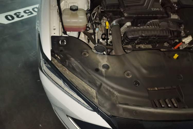 Used BYD Qin PLUS 2023 Champion Edition DM-i 120KM Leading Model Engine Bay Right