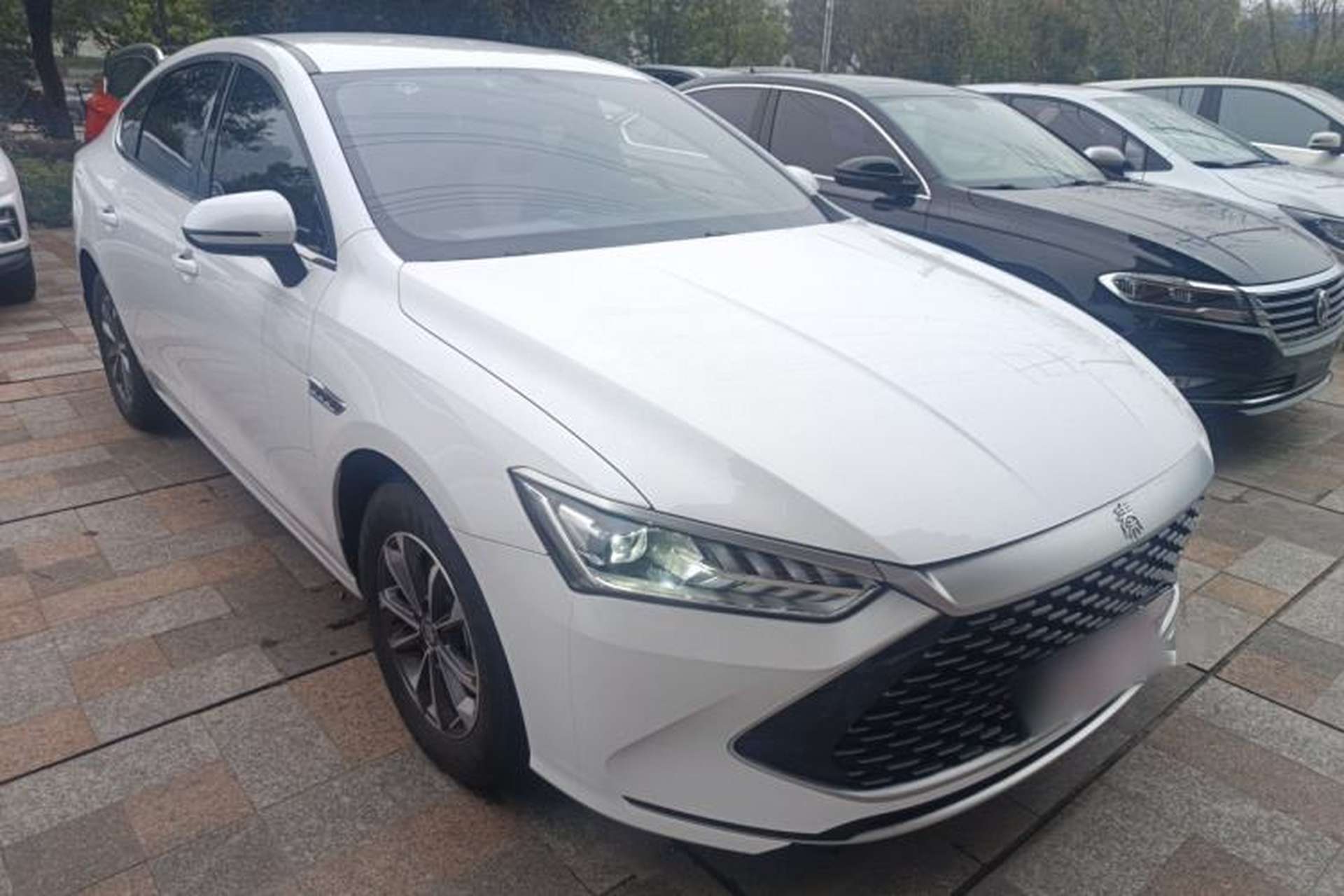 Used BYD Qin PLUS 2023 Champion Edition DM-i 55KM Leading Model Exterior 1
