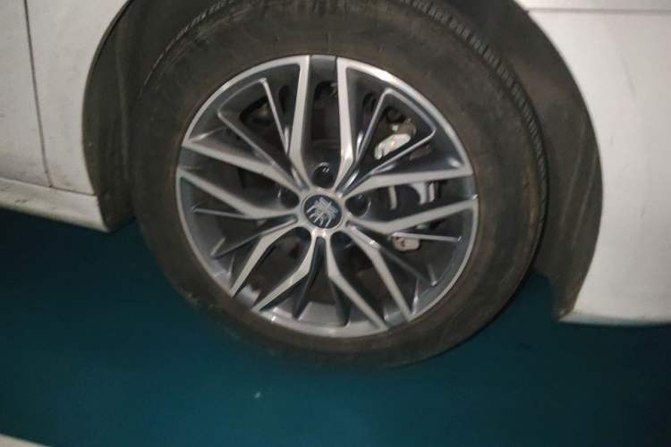 Used BYD Qin PLUS 2023 Champion Edition DM-i 55KM Superior Model Exterior 1