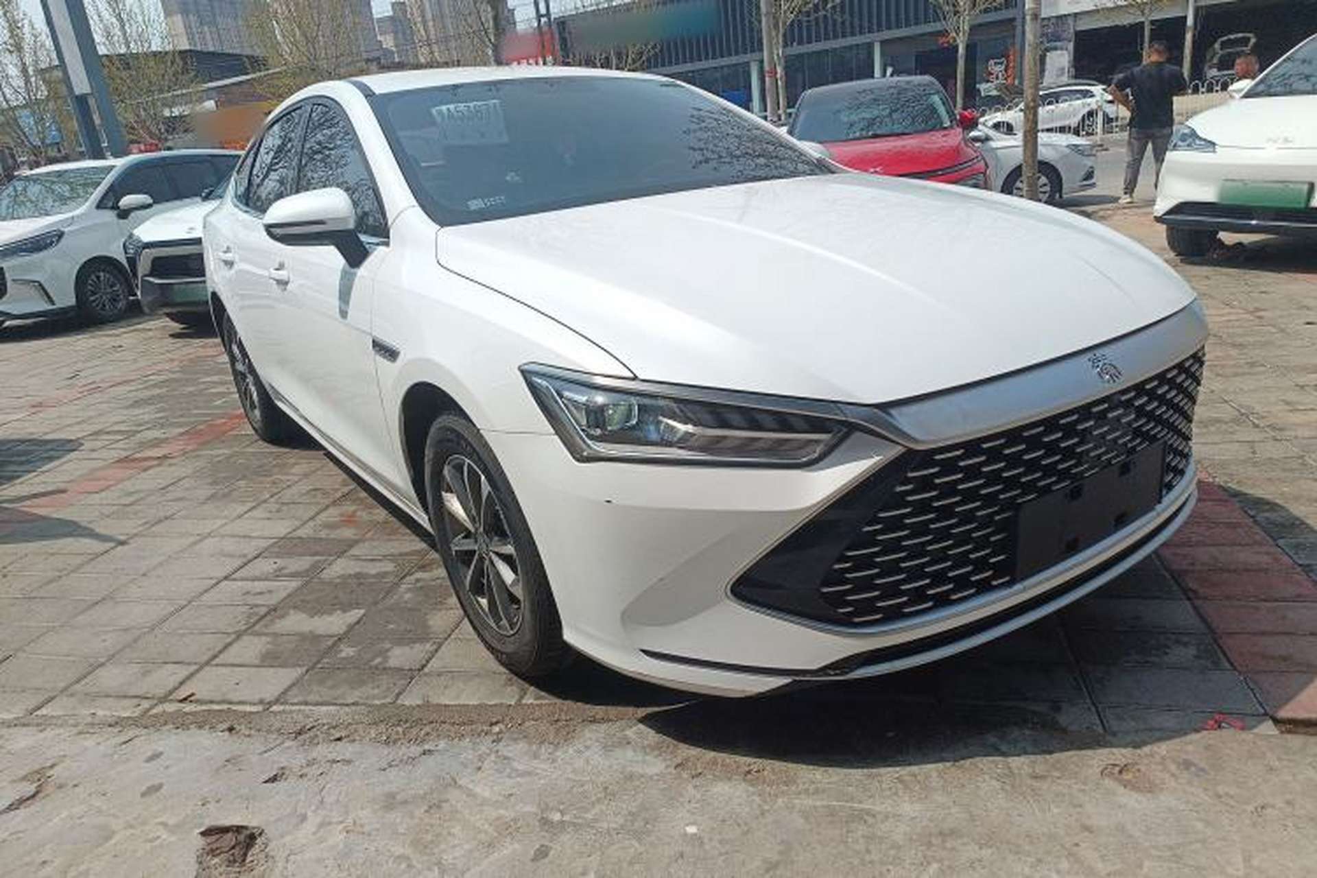 Used BYD Qin PLUS 2023 Champion Edition DM-i 55KM Leading Model Exterior 1