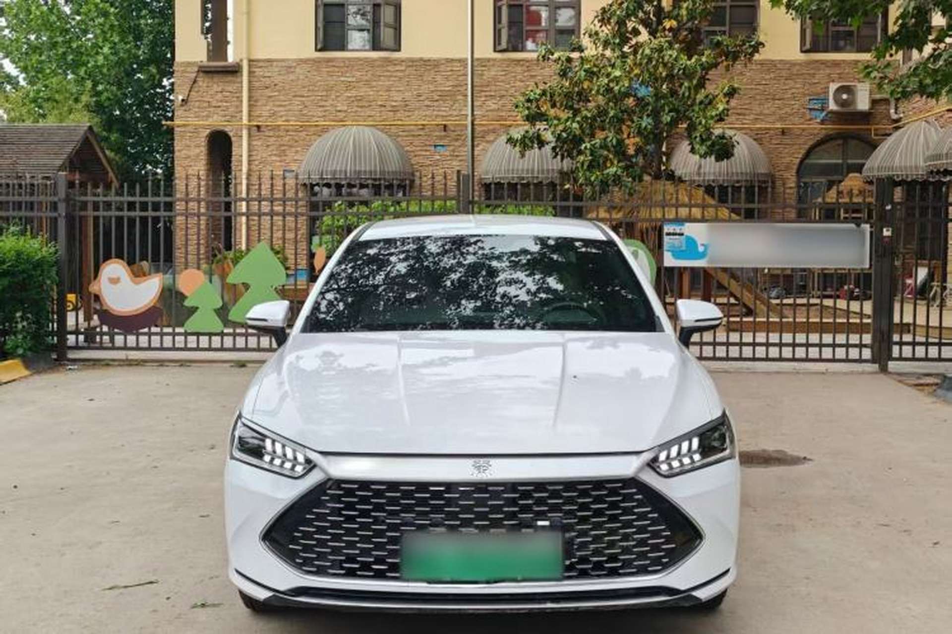 Used BYD Qin PLUS 2023 Champion Edition DM-i 55KM Leading Model Exterior 2