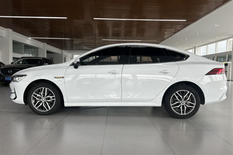Used BYD Qin PLUS 2023 Champion Edition EV 420KM Leading Model Exterior 5