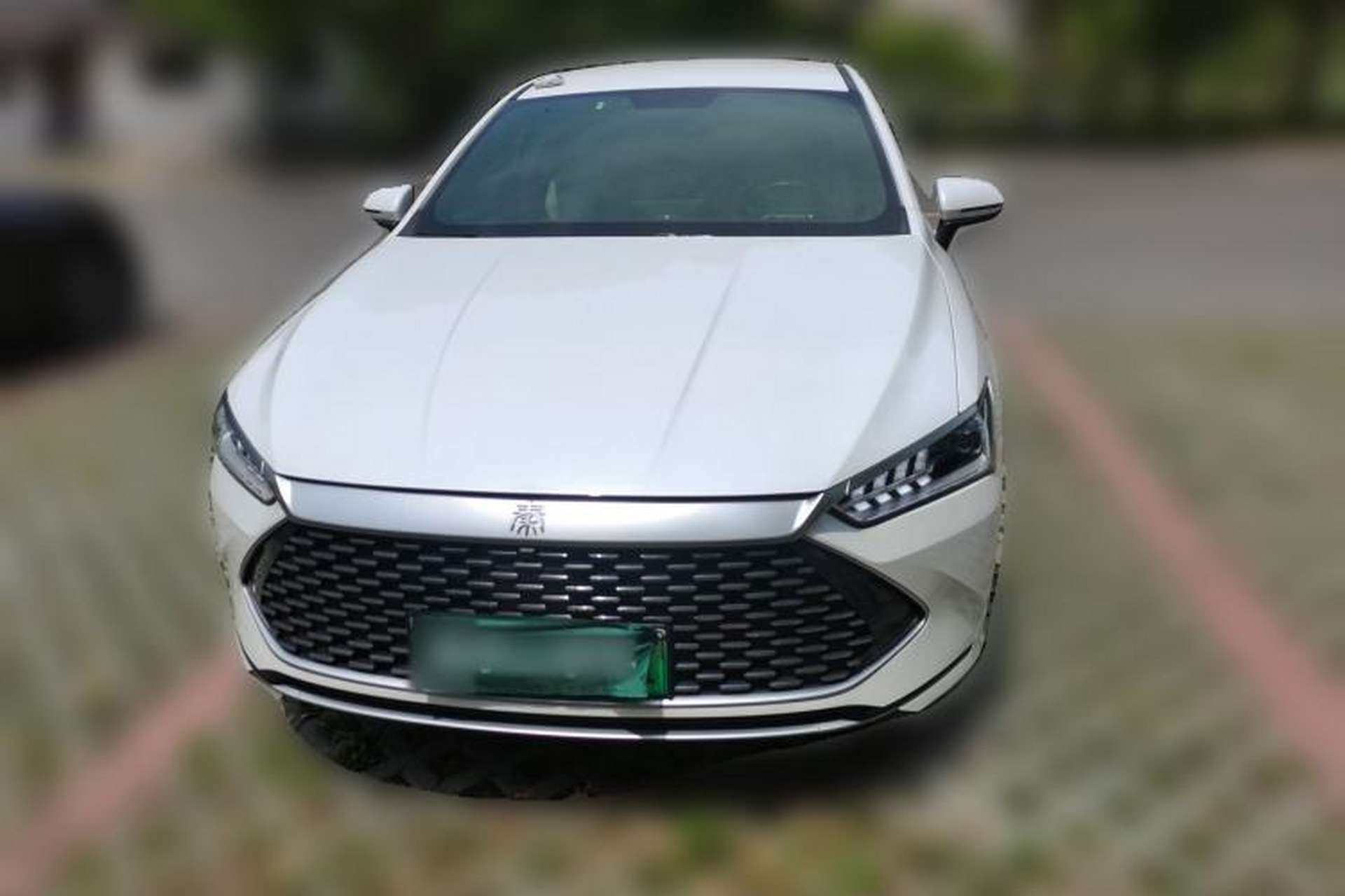 Used BYD Qin PLUS 2023 Champion Edition DM-i 55KM Leading Model Front