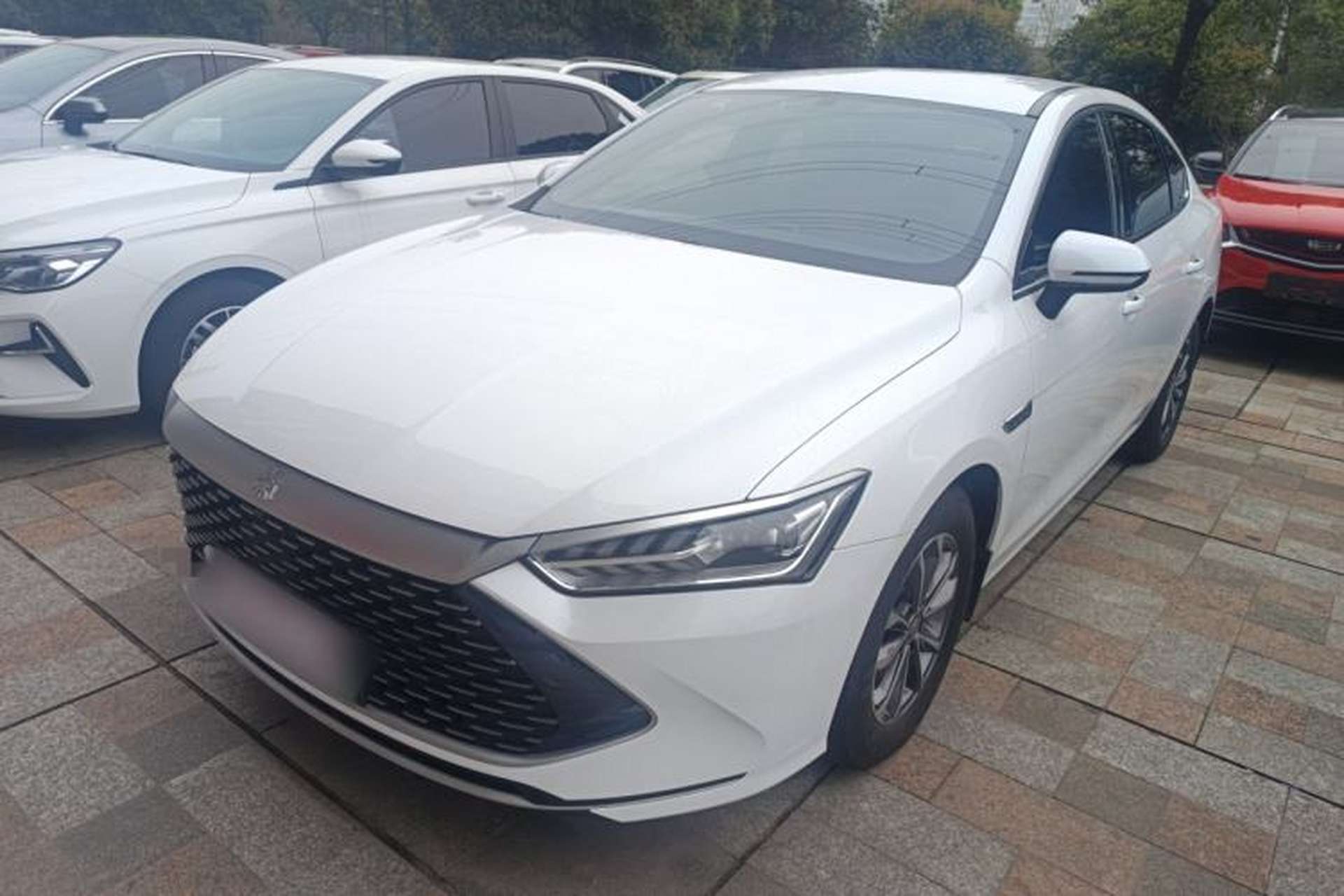 Used BYD Qin PLUS 2023 Champion Edition DM-i 55KM Leading Model Front Left 45 Deg