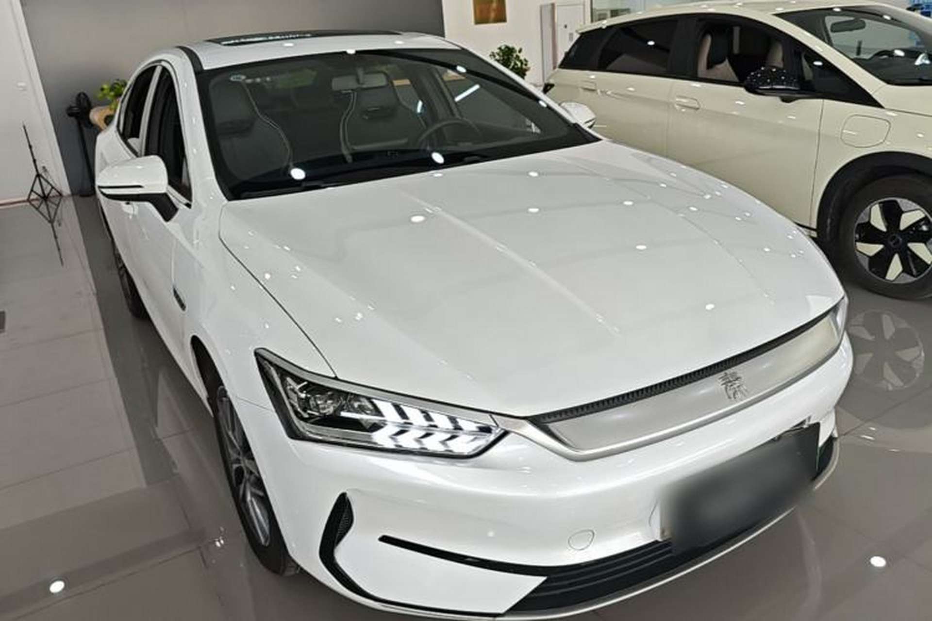 Used BYD Qin PLUS 2023 EV 510KM Travel Edition Front Right 45 Deg