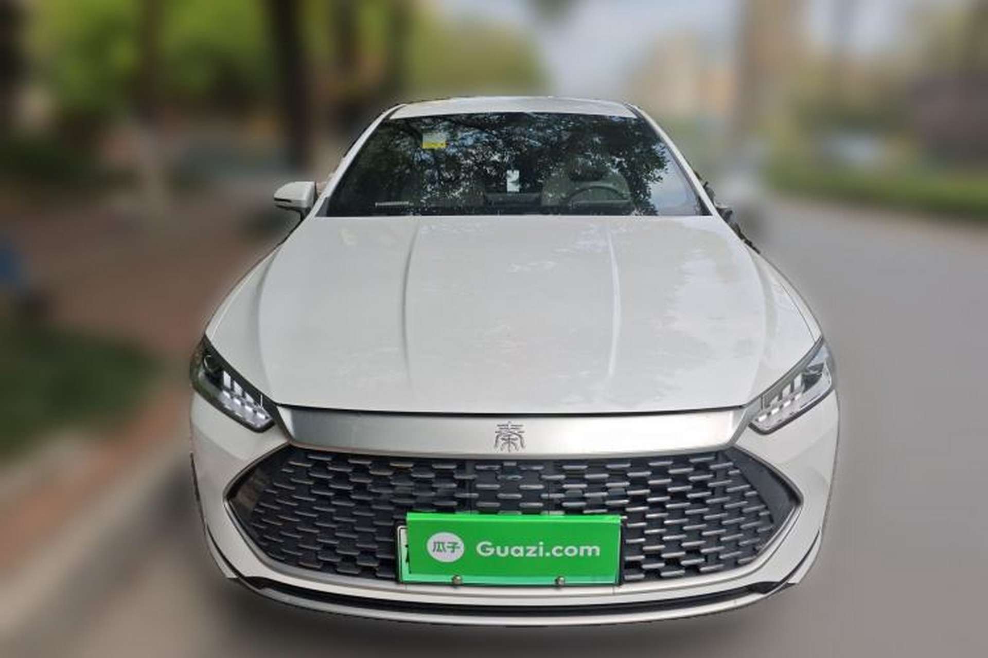 Used BYD Qin PLUS 2023 Champion Edition DM-i 55KM Leading Model Front