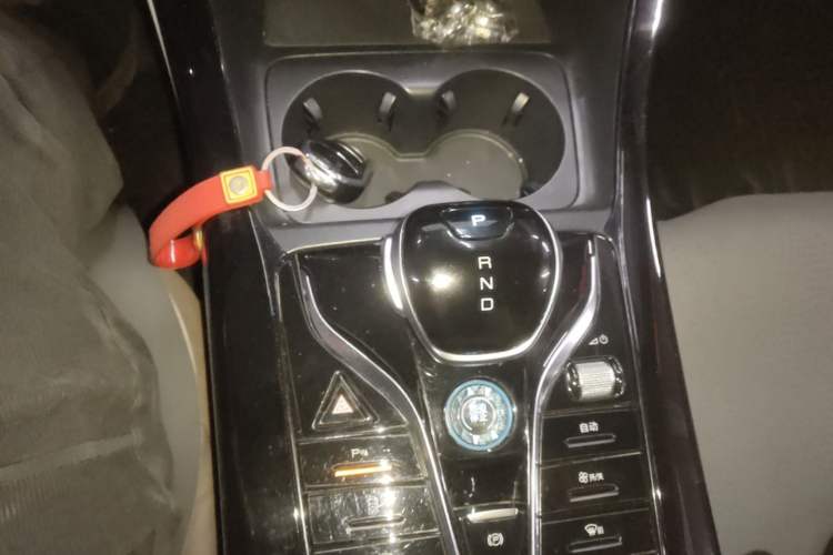 Used BYD Qin PLUS 2023 Champion Edition DM-i 55KM Leading Model Gear Lever