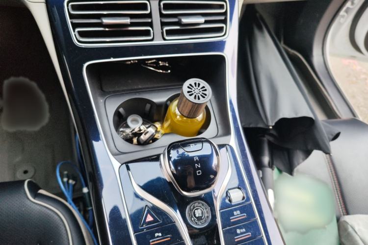 Used BYD Qin PLUS 2023 Champion Edition DM-i 120KM Leading Model Gear Lever