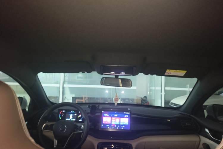 Used BYD Qin PLUS 2023 Champion Edition DM-i 55KM Leading Model Headliner
