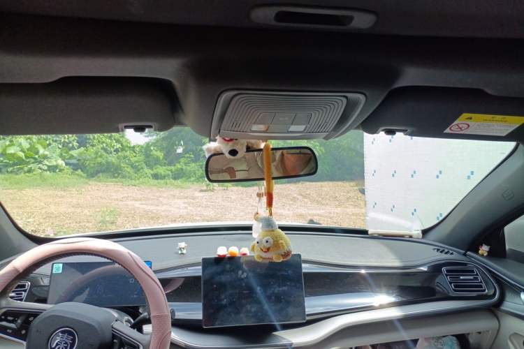 Used BYD Qin PLUS 2023 Champion Edition DM-i 55KM Superior Model Headliner