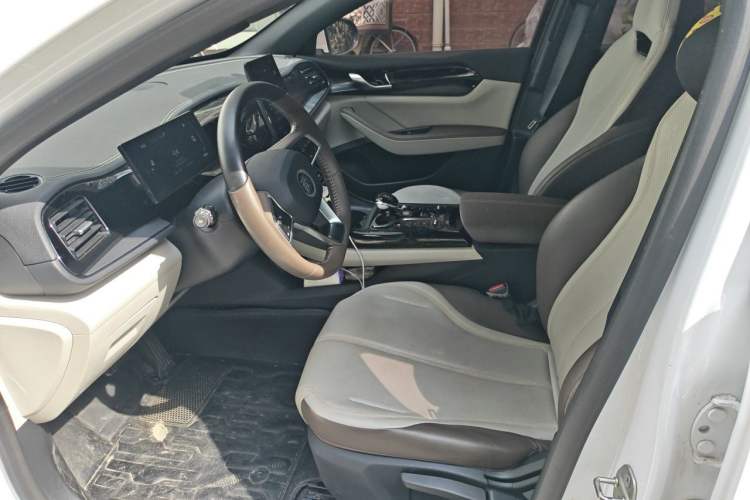 Used BYD Qin PLUS 2023 Champion Edition DM-i 55KM Leading Model Left Front Seat