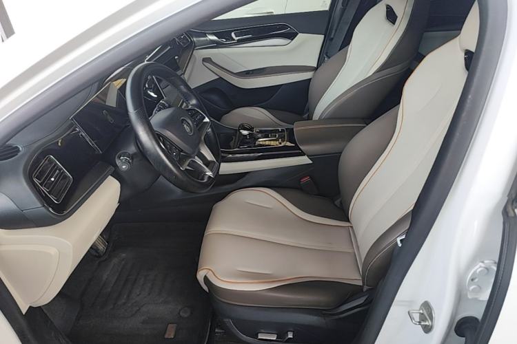 Used BYD Qin PLUS 2023 Champion Edition EV 420KM Superior Model Left Front Seat
