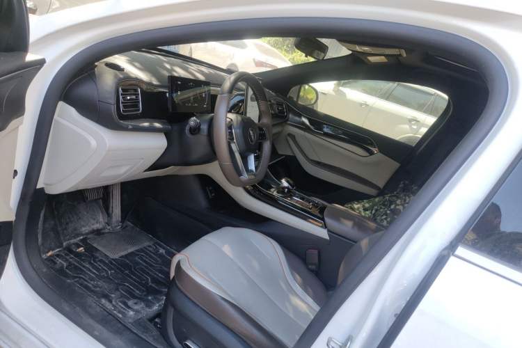 Used BYD Qin PLUS 2023 Champion Edition DM-i 55KM Superior Model Left Front Seat