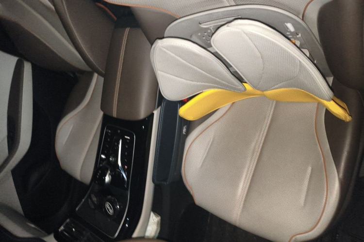 Used BYD Qin PLUS 2023 Champion Edition EV 510KM Leading Model Left Front Seat