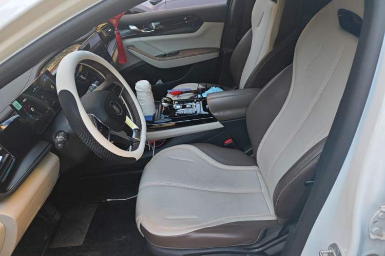 Used BYD Qin PLUS 2023 Champion Edition DM-i 55KM Leading Model Left Front Seat