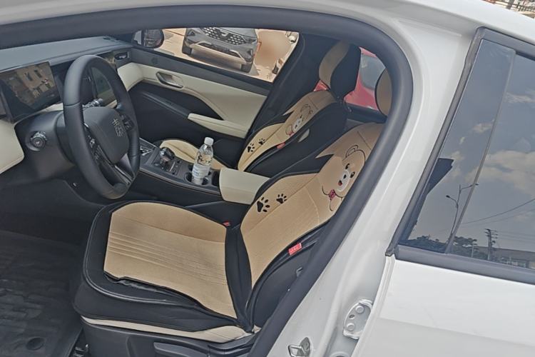 Used BYD Qin PLUS 2023 Champion Edition DM-i 55KM Leading Model Left Front Seat