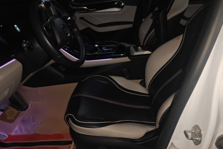 Used BYD Qin PLUS 2023 Champion Edition DM-i 120KM Excellence Model Left Front Seat