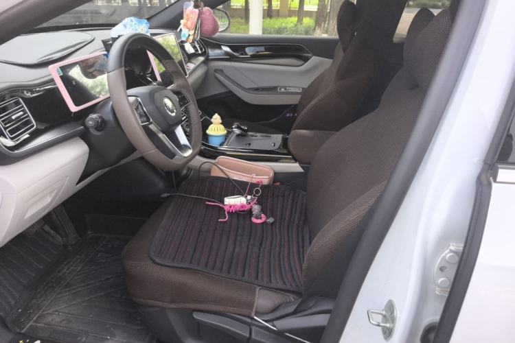 Used BYD Qin PLUS 2023 Champion Edition DM-i 120KM Leading Model Left Front Seat