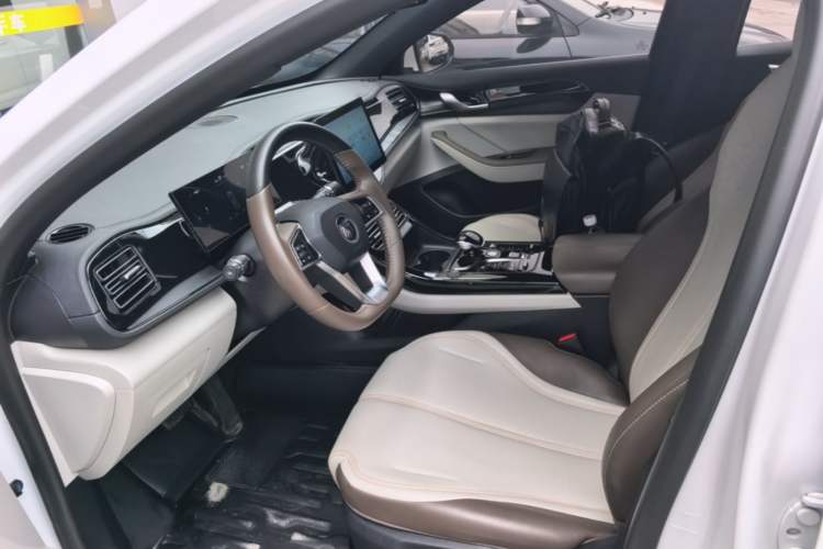 Used BYD Qin PLUS 2023 Champion Edition DM-i 55KM Leading Model Left Front Seat