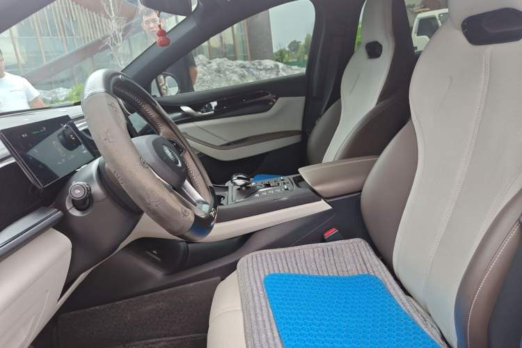 Used BYD Qin PLUS 2023 Champion Edition DM-i 55KM Leading Model Left Front Seat