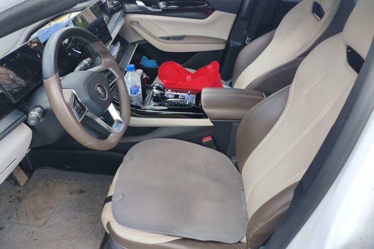 Used BYD Qin PLUS 2023 Champion Edition DM-i 55KM Leading Model Left Front Seat