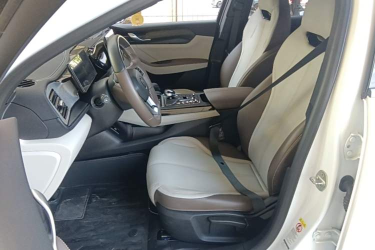 Used BYD Qin PLUS 2023 Champion Edition DM-i 55KM Leading Model Left Front Seat