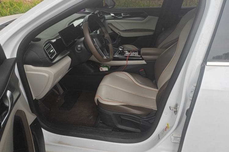 Used BYD Qin PLUS 2023 Champion Edition DM-i 120KM Leading Model Left Front Seat
