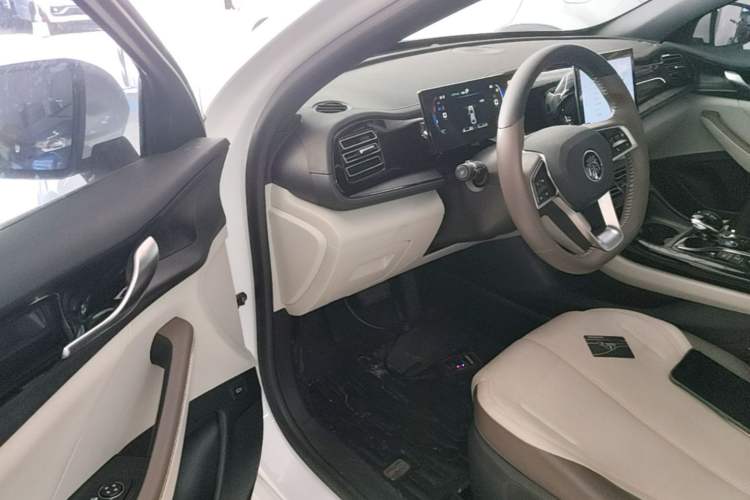 Used BYD Qin PLUS 2023 Champion Edition DM-i 55KM Leading Model Left Front Seat