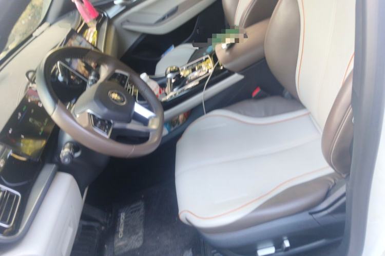 Used BYD Qin PLUS 2023 Champion Edition DM-i 55KM Superior Model Left Front Seat