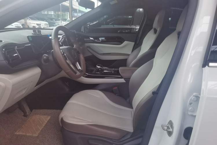 Used BYD Qin PLUS 2023 Champion Edition DM-i 55KM Leading Model Left Front Seat