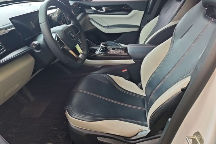 Used BYD Qin PLUS 2023 Champion Edition DM-i 55KM Leading Model Left Front Seat