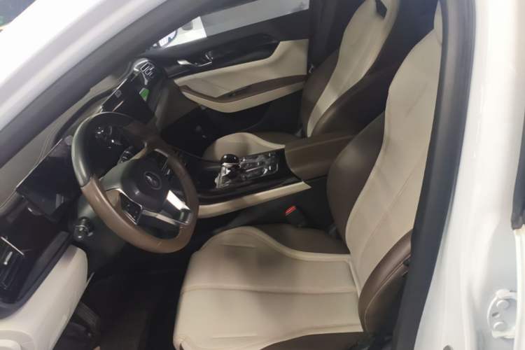 Used BYD Qin PLUS 2023 Champion Edition DM-i 55KM Leading Model Left Front Seat