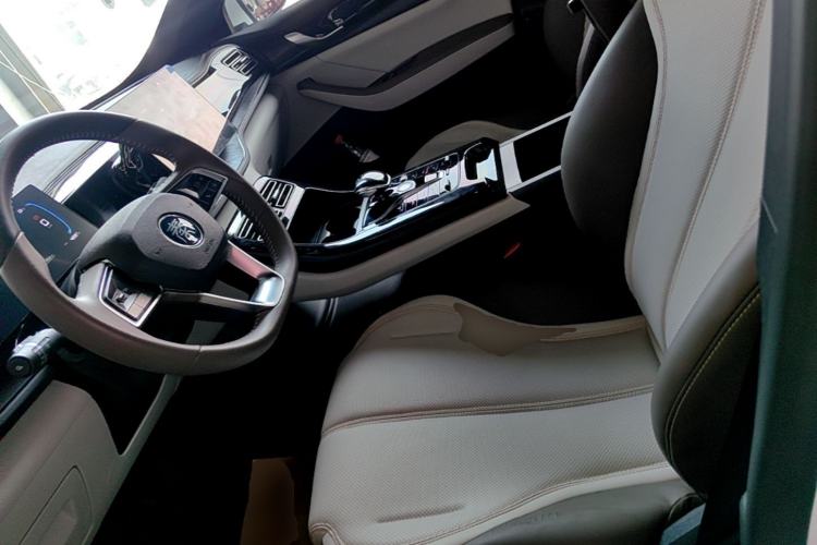 Used BYD Qin PLUS 2023 Champion Edition DM-i 55KM Leading Model Left Front Seat
