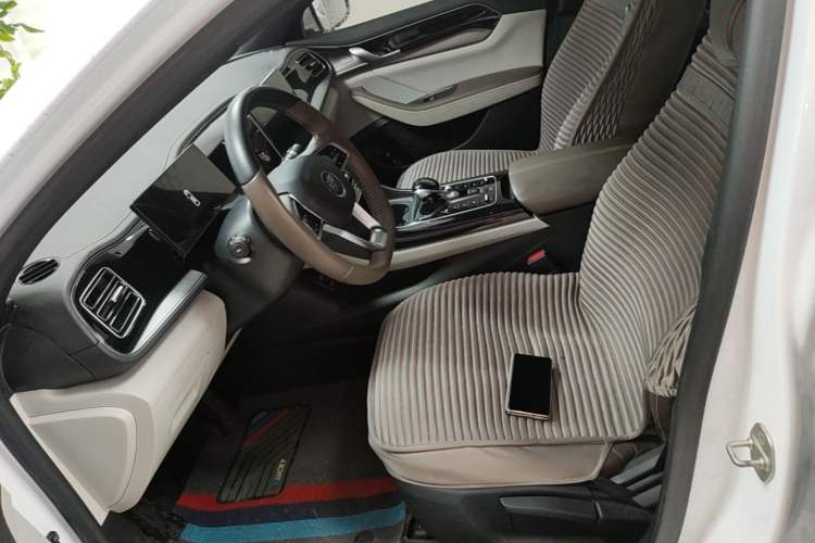 Used BYD Qin PLUS 2023 Champion Edition DM-i 120KM Leading Model Left Front Seat