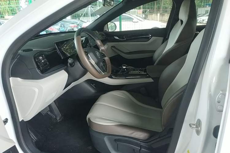Used BYD Qin PLUS 2023 Champion Edition DM-i 55KM Leading Model Left Front Seat
