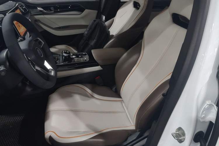 Used BYD Qin PLUS 2023 Champion Edition DM-i 120KM Leading Model Left Front Seat