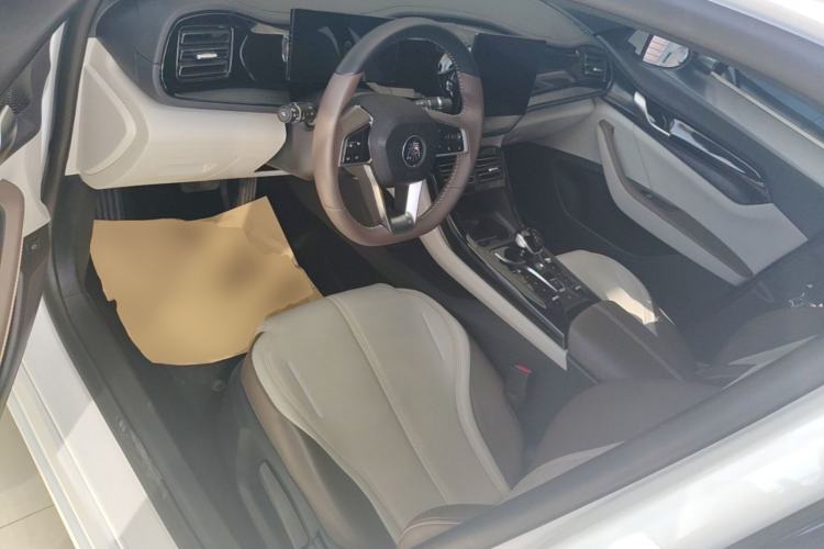 Used BYD Qin PLUS 2023 Champion Edition DM-i 55KM Leading Model Left Front Seat