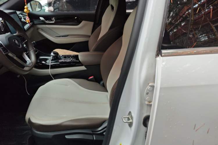Used BYD Qin PLUS 2023 Champion Edition DM-i 55KM Leading Model Left Front Seat