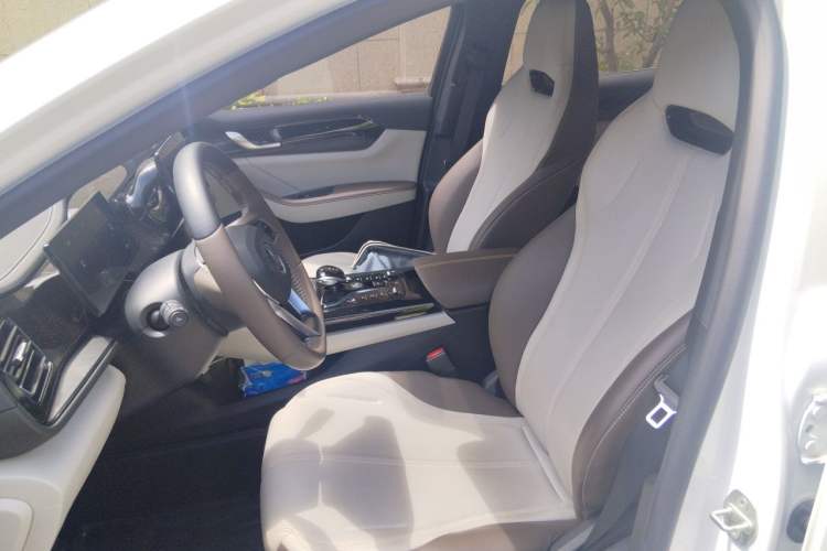 Used BYD Qin PLUS 2023 Champion Edition DM-i 55KM Leading Model Left Front Seat