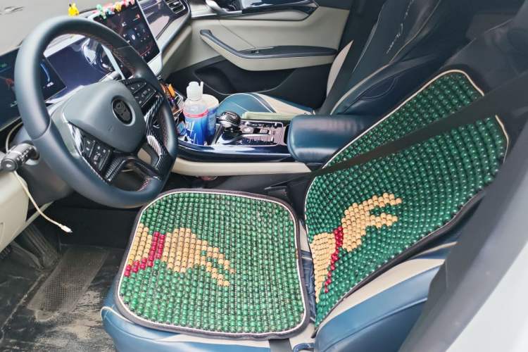 Used BYD Qin PLUS 2023 Champion Edition EV 510KM Beyond Model Left Front Seat