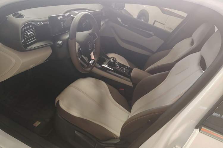 Used BYD Qin PLUS 2023 Champion Edition DM-i 55KM Leading Model Left Front Seat