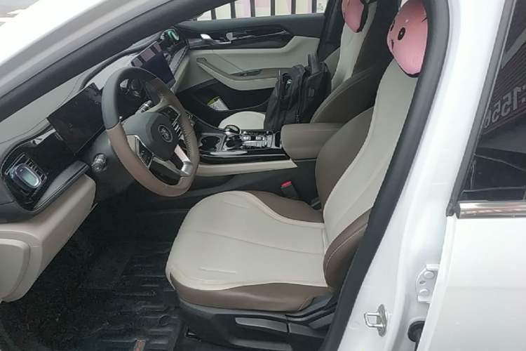 Used BYD Qin PLUS 2023 Champion Edition DM-i 55KM Leading Model Left Front Seat